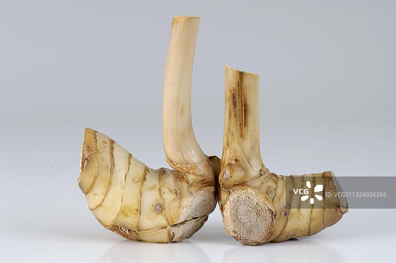 高良姜根图片素材