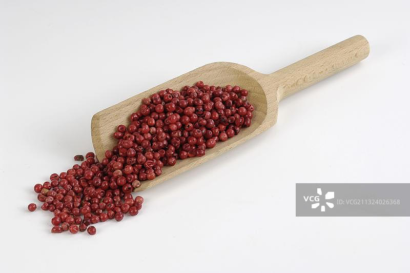 粉红胡椒、胡椒粒、巴西胡椒树图片素材