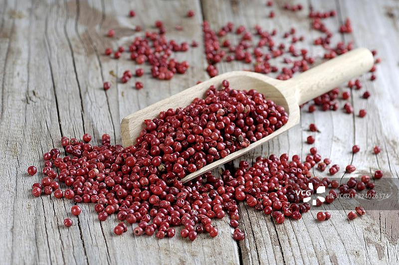 粉红胡椒、胡椒粒、巴西胡椒树图片素材