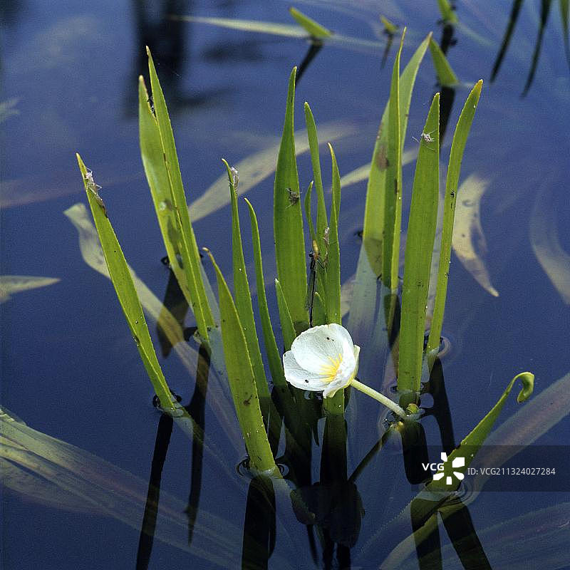 水车前图片素材