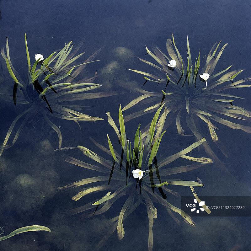 水车前图片素材