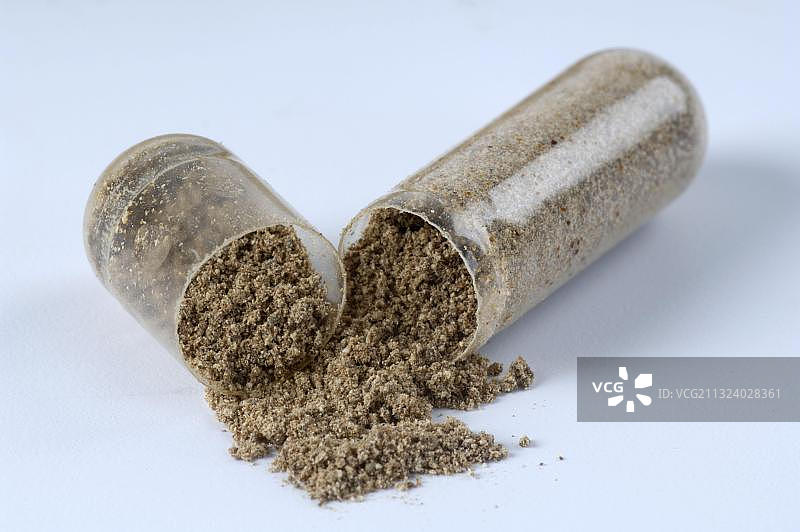 灵芝（Ganoderma lucidum），胶囊，药用蘑菇，漆树孢子粉，漆树孢子胶囊，抠图，物体图片素材