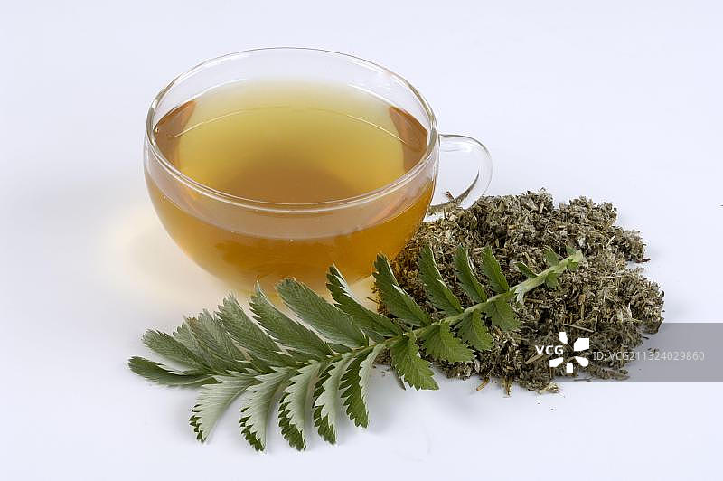 委陵菜干叶与鹅绒委陵菜茶图片素材