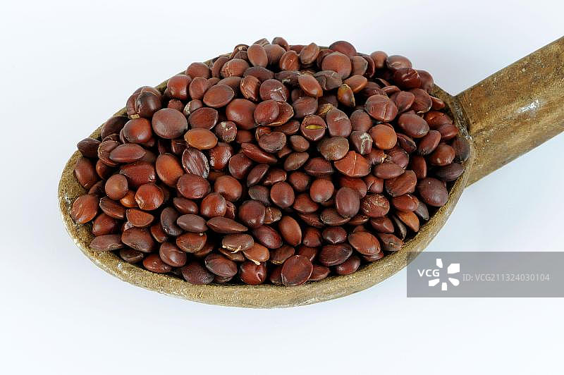 酸枣仁图片素材