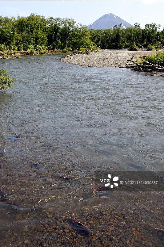 通往库页湖的河流，堪察加半岛，俄罗斯，欧洲图片素材