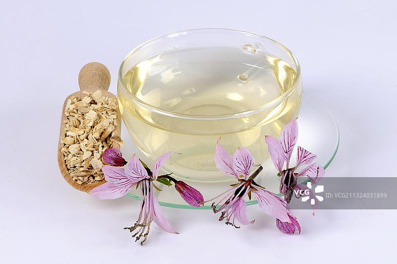 一杯白鲜皮茶，燃烧的灌木（白鲜），白蜡树根图片素材