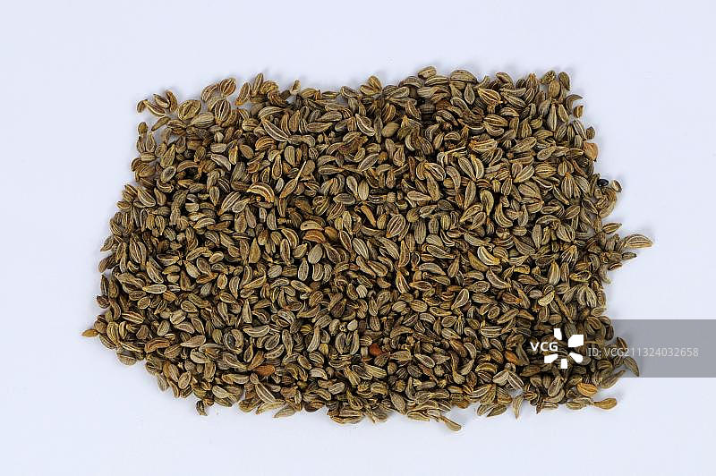 欧芹籽（Petroselinum crispum）图片素材