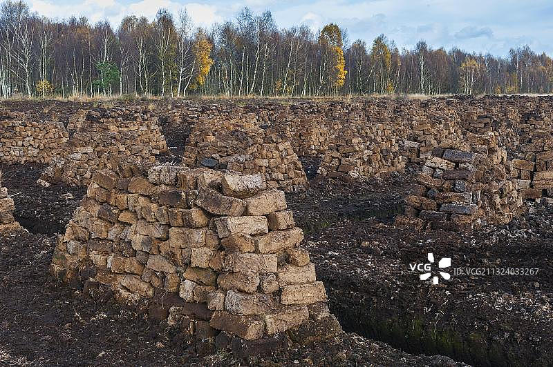 德国下萨克森州戈尔登施泰特沼泽：泥炭开采图片素材