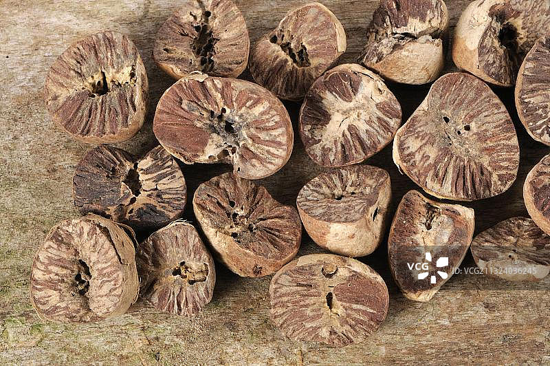 槟榔（Areca catechu）图片素材