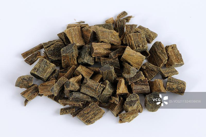 愈疮木（药用愈疮木），愈疮木树，切割素材图片素材