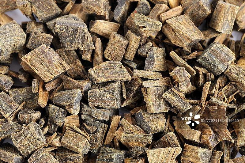 愈疮木图片素材