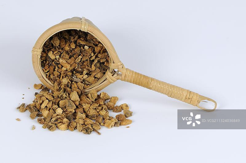 龙胆根图片素材