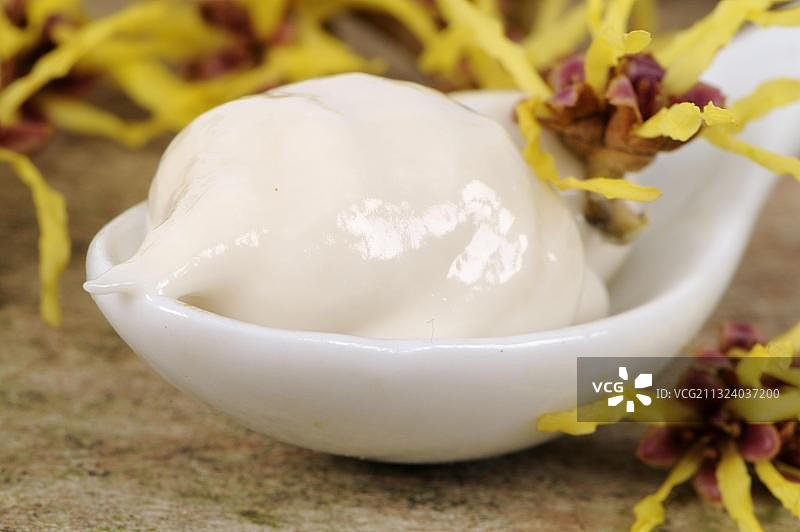 金缕梅药膏图片素材