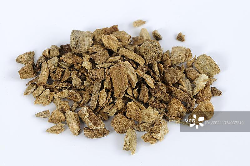 喜马拉雅土木香根图片素材