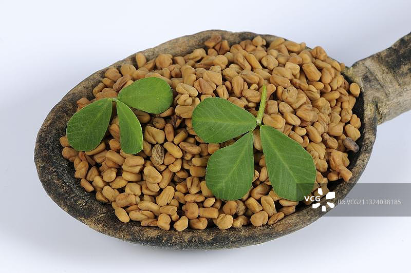 胡芦巴种子图片素材