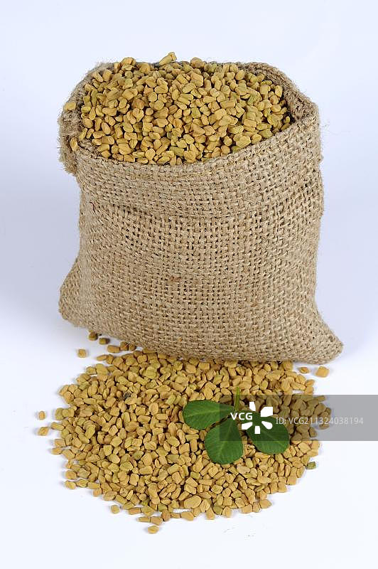 胡芦巴种子图片素材