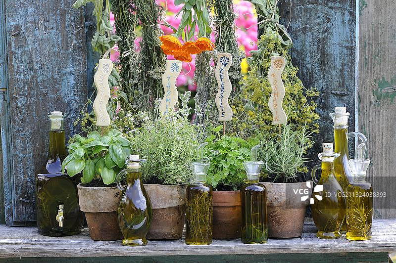 货架上的草药和草药油图片素材