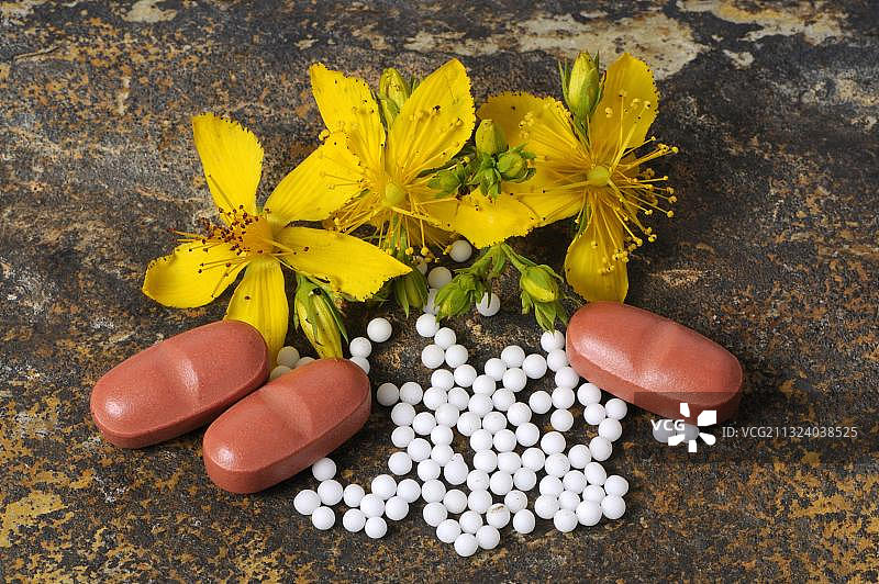 贯叶连翘、药丸和平板电脑图片素材