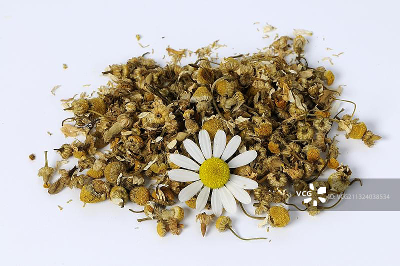 德国洋甘菊干花图片素材