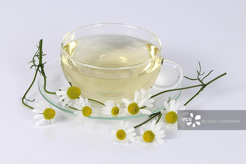 一杯香气扑鼻的母菊花茶图片素材