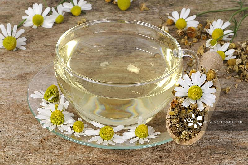 一杯香气扑鼻的母菊花茶图片素材