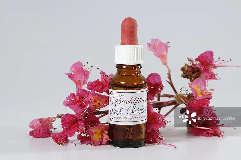 瓶装巴赫花精滴剂，红栗（七叶树），巴赫花疗法图片素材