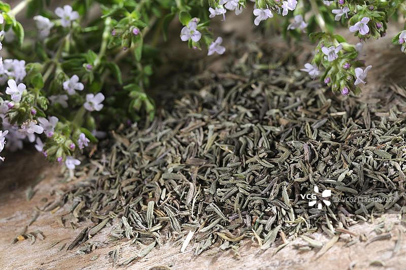 阔叶百里香图片素材