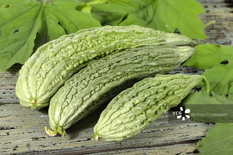 苦瓜图片素材