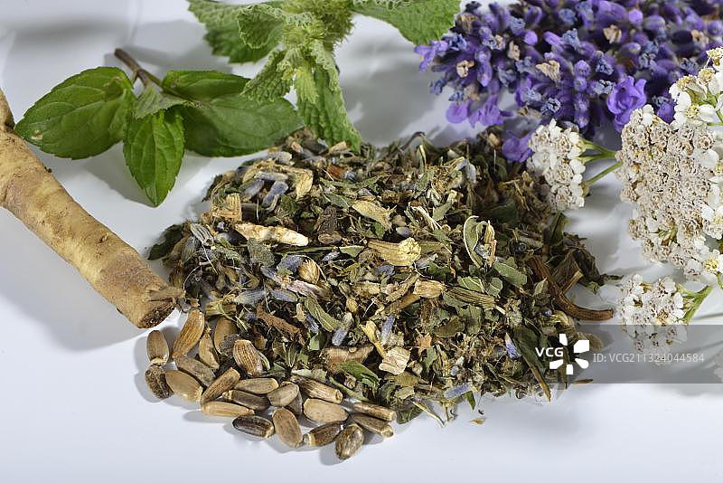 蒲公英根养肝茶图片素材