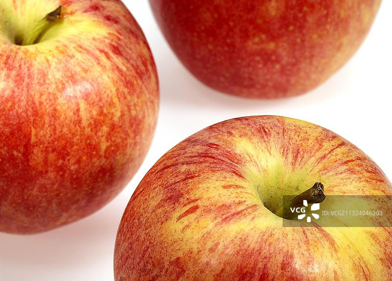家苹果、栽培苹果、苹果、苹果、蔷薇科、御Gala苹果、驯化苹果、苹果、苹果、蔷薇科、御Gala苹果、栽培苹果图片素材