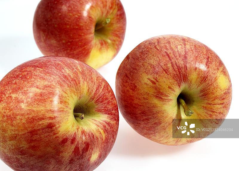 cultivated苹果，苹果，蔷薇科，皇家嘎啦果图片素材