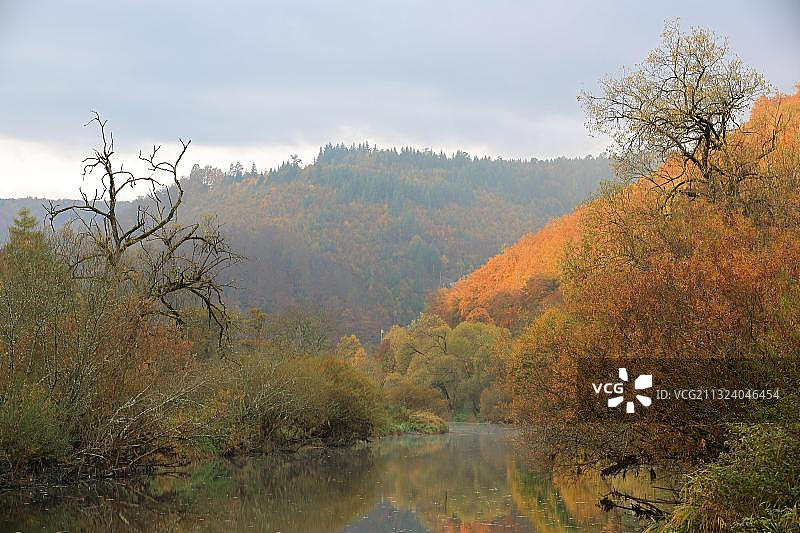 多瑙河，蒂尔加滕，上多瑙河自然公园，德国巴登-符腾堡图片素材