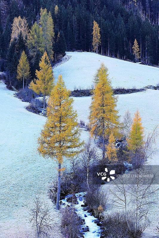 奥地利蒂罗尔州帕兹瑙恩塔尔山涧图片素材