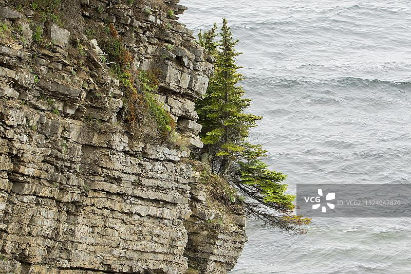 加拿大魁北克弗里隆国家公园悬崖上生长的树木图片素材