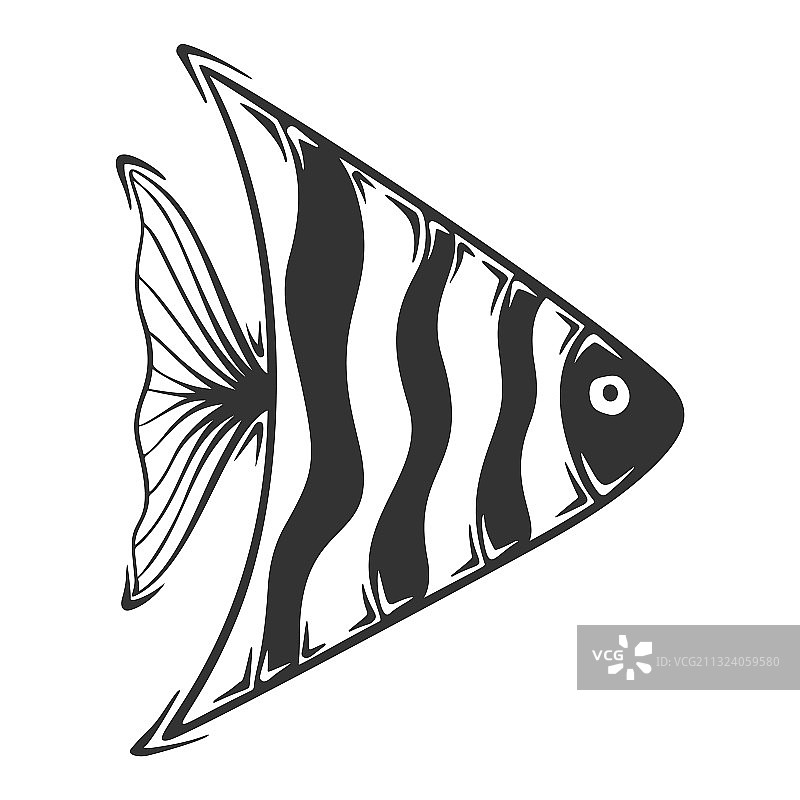 手绘条纹异国情调鱼图片素材