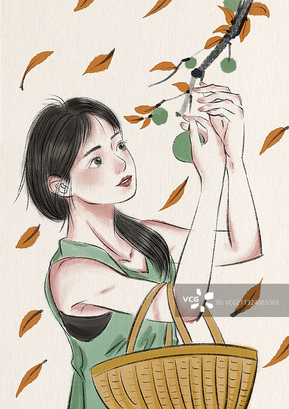 青涩的果实图片素材