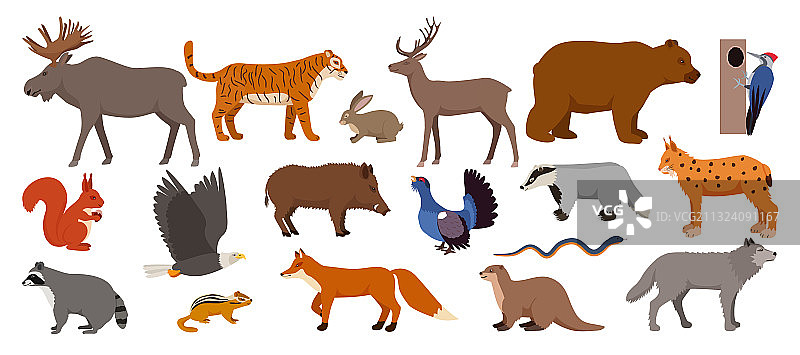 白色背景下的森林动物套装图片素材