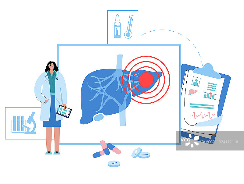肝脏模板概念图片素材