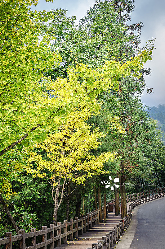 《武隆天坑地缝国家地质公园》图片素材