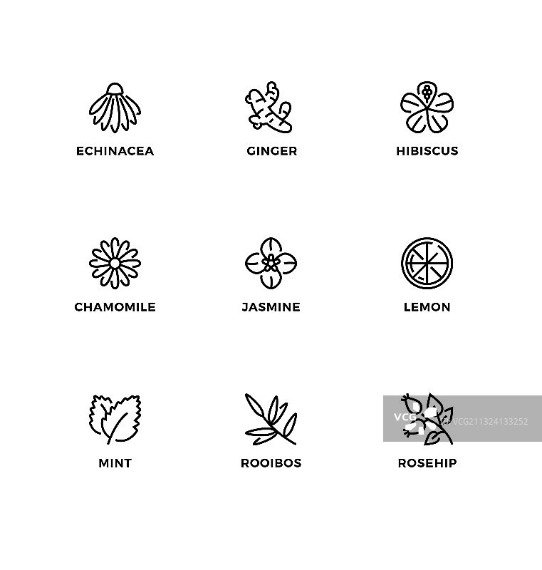 有机茶图标集图片素材