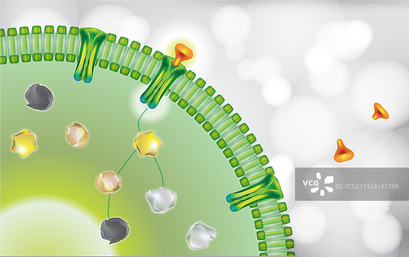 白色背景上的抗体阻断细胞受体图片素材