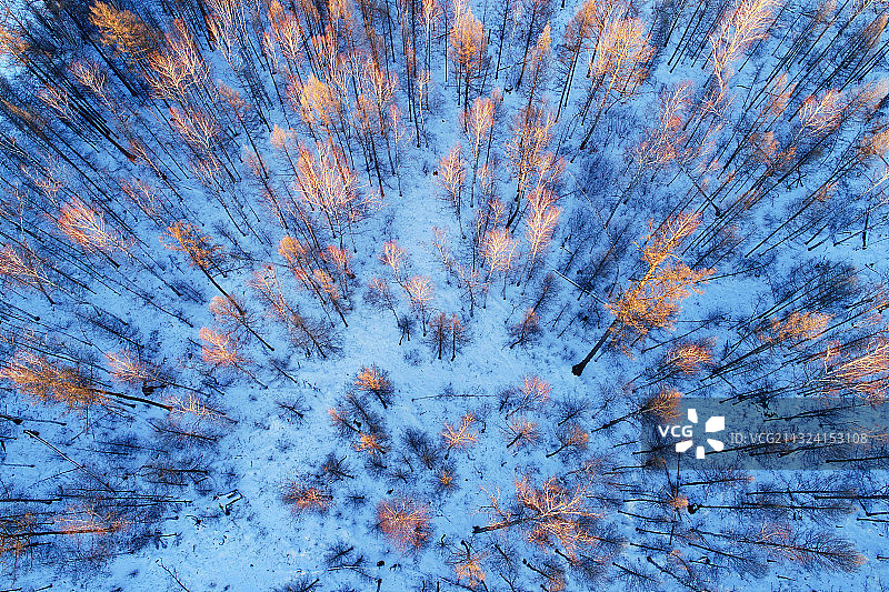 航拍大兴安岭林海雪原密林夕照图片素材