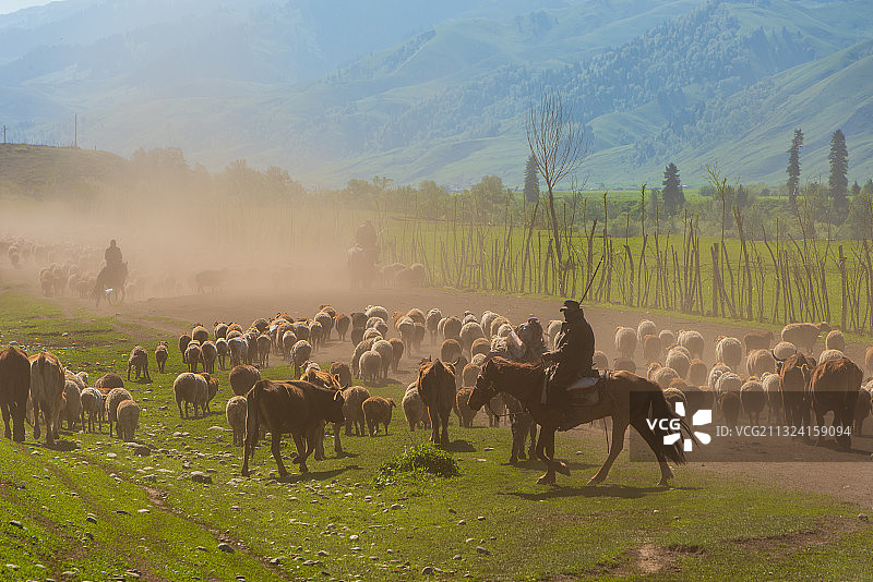 新疆-唐布拉-独库公路-百里画廊图片素材
