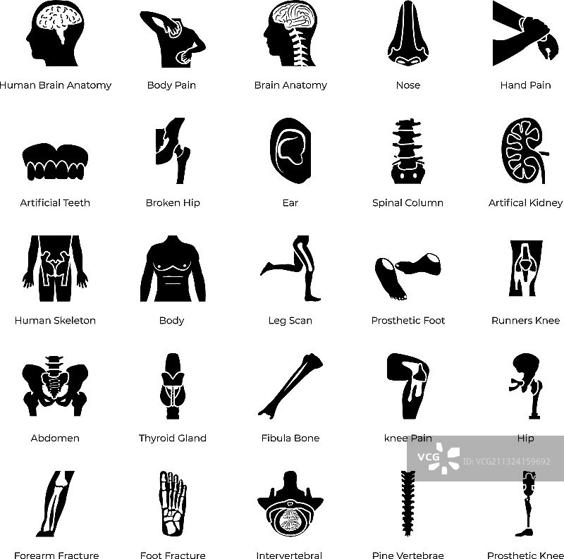 骨科假肢医疗植入物图片素材