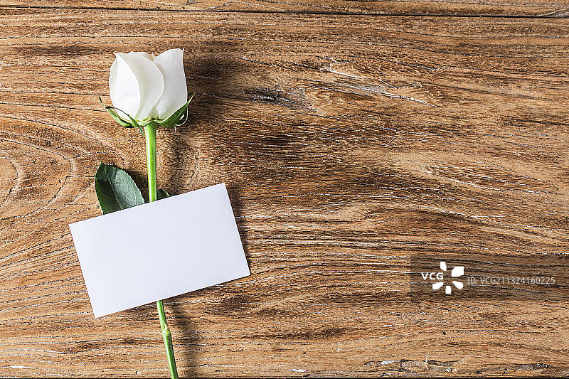 白色情人节概念图片素材