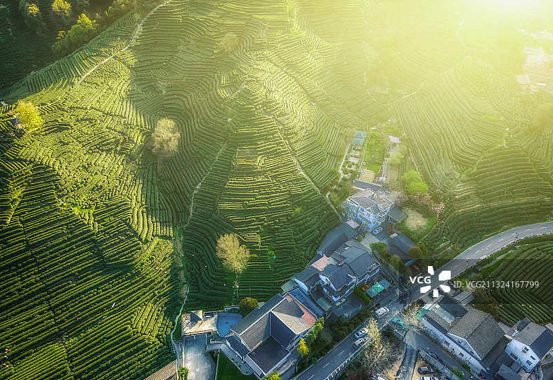 航拍杭州西湖龙井茶产地图片素材