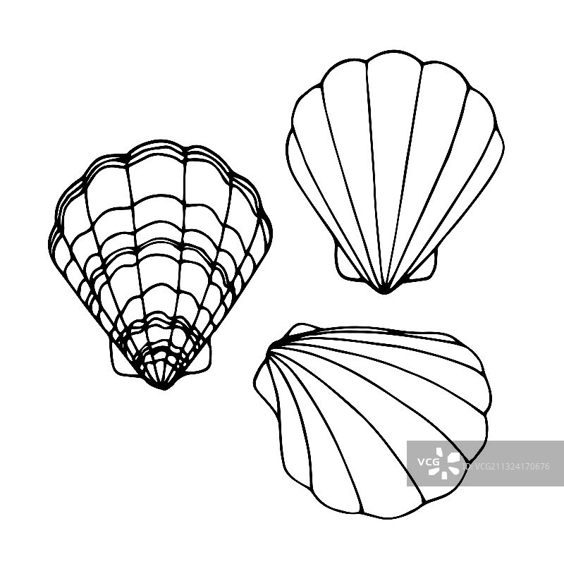 扇贝壳美味海鲜标志图片素材