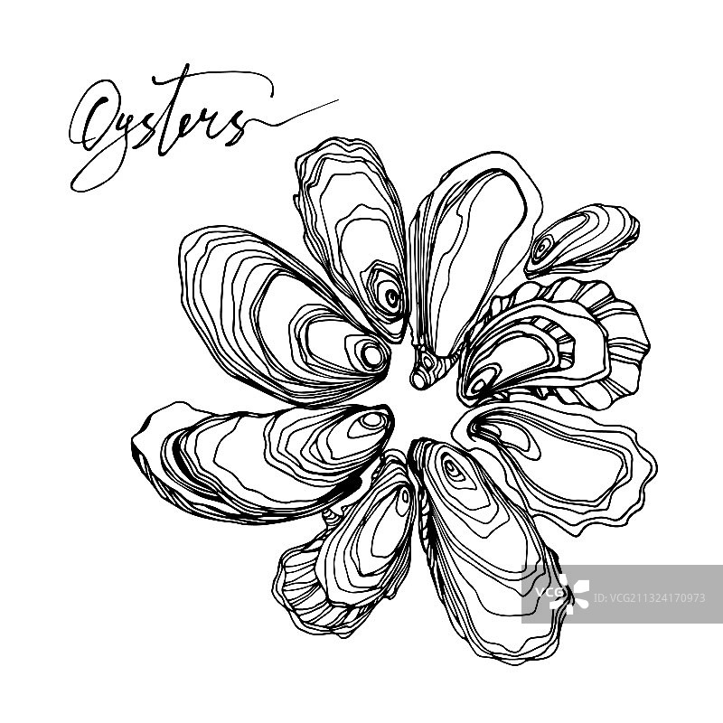 带外壳的牡蛎和笔迹套装图片素材