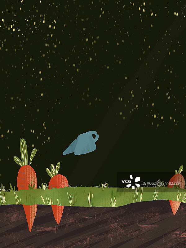 胡萝卜图片素材