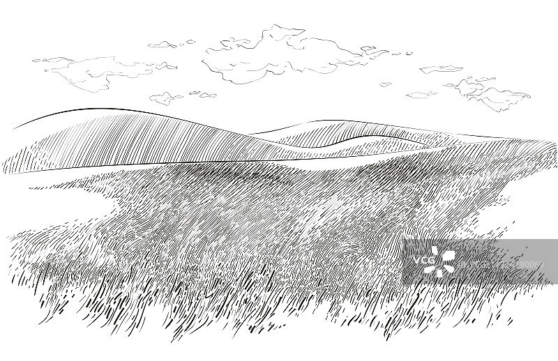 小山丘上的绿色草地素描图片素材